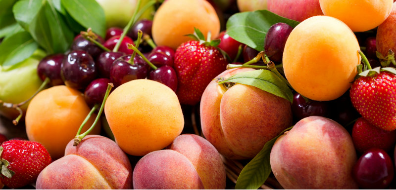 Illustration des fruits de l'été, cerises, fraises, abricots...